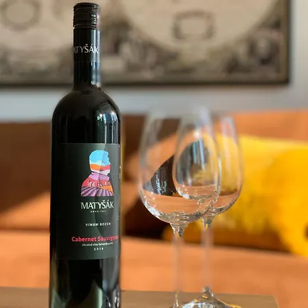 아파트 Self Check-in, Danube Bank, Free Parking